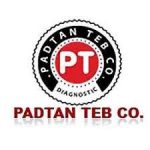 محلول رنگ آمیزی گیمسا 250ml پادتن طب