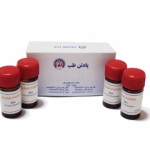 دیسک بایل اسکولین پادتن طب